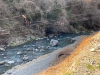 秩父フライフィールド 釣果