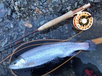 秩父フライフィールド 釣果