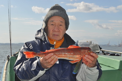 根岸丸 釣果