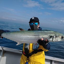 第二明康丸 釣果