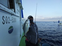 なごみ船 釣果