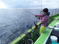 なごみ船 釣果