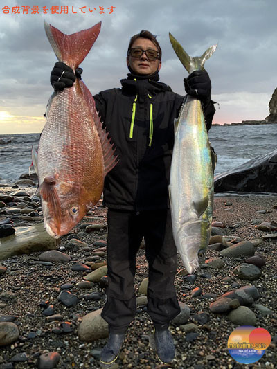 幕島丸 釣果