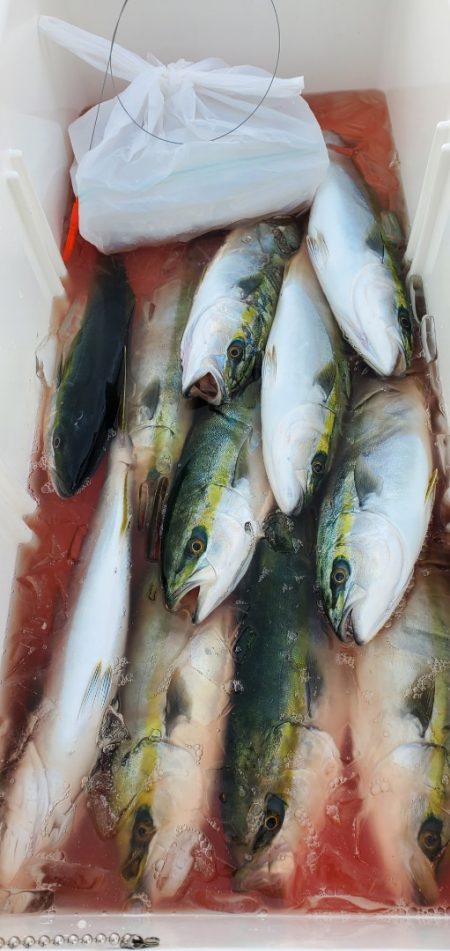 LUSTER『ラスター』 釣果