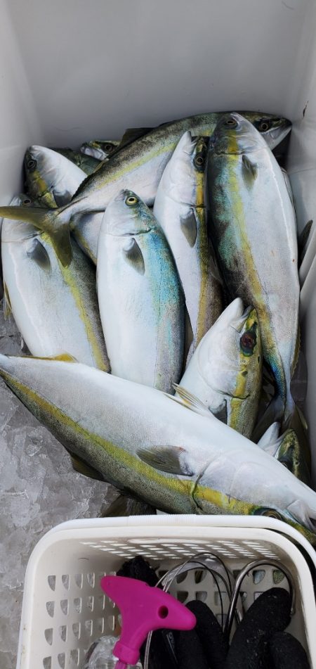 LUSTER『ラスター』 釣果