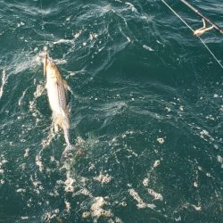海龍丸（石川） 釣果