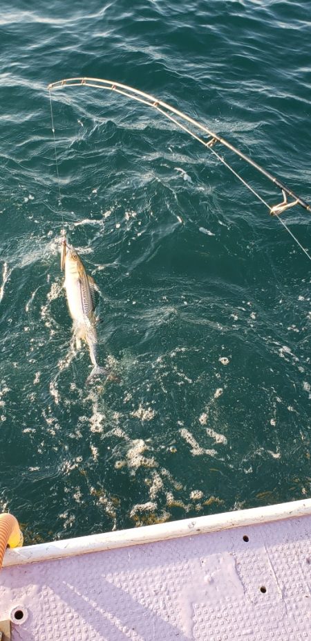 海龍丸（石川） 釣果
