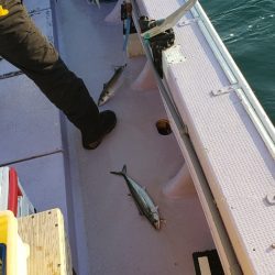 海龍丸（石川） 釣果