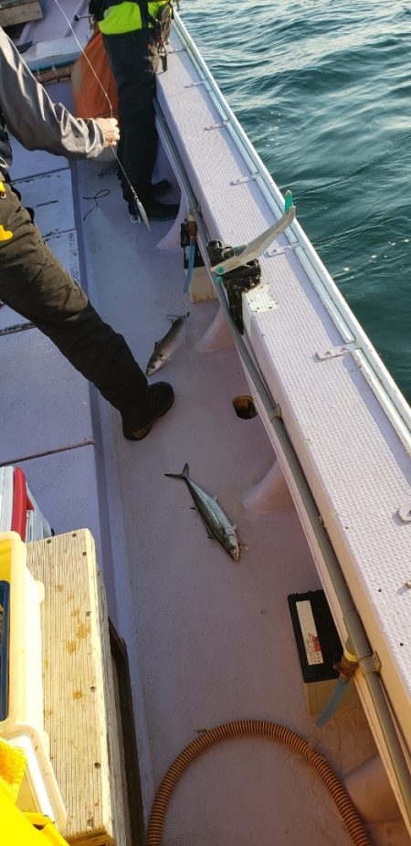 海龍丸（石川） 釣果