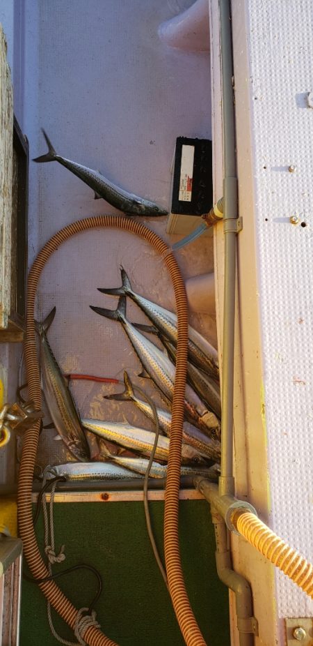 海龍丸（石川） 釣果