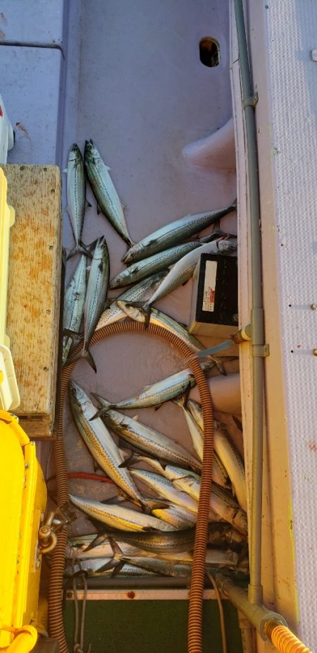 海龍丸（石川） 釣果