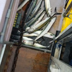 海龍丸（石川） 釣果