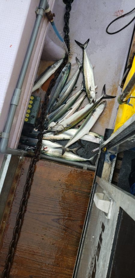 海龍丸（石川） 釣果