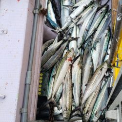 海龍丸（石川） 釣果