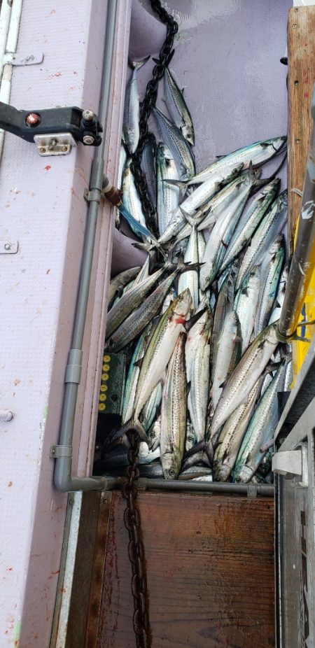 海龍丸（石川） 釣果