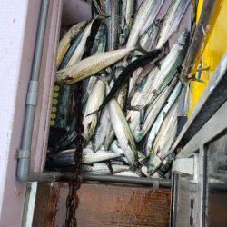 海龍丸（石川） 釣果