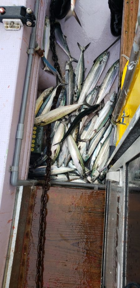 海龍丸（石川） 釣果