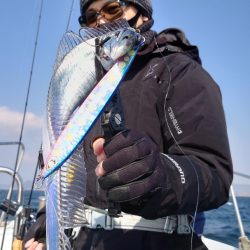 シースナイパー海龍 釣果