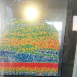 金沢八景鴨下丸 釣果