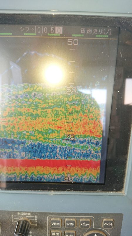 金沢八景鴨下丸 釣果