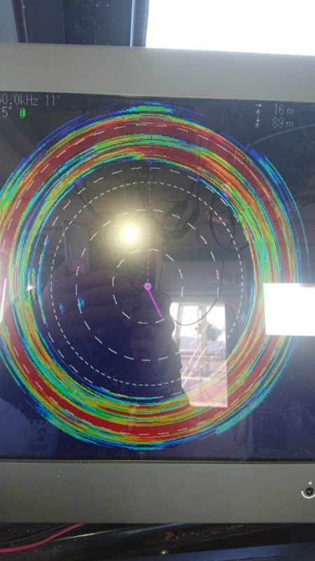 金沢八景鴨下丸 釣果