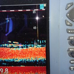 金沢八景鴨下丸 釣果