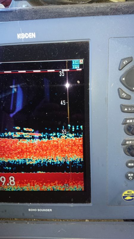 金沢八景鴨下丸 釣果