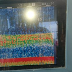 金沢八景鴨下丸 釣果