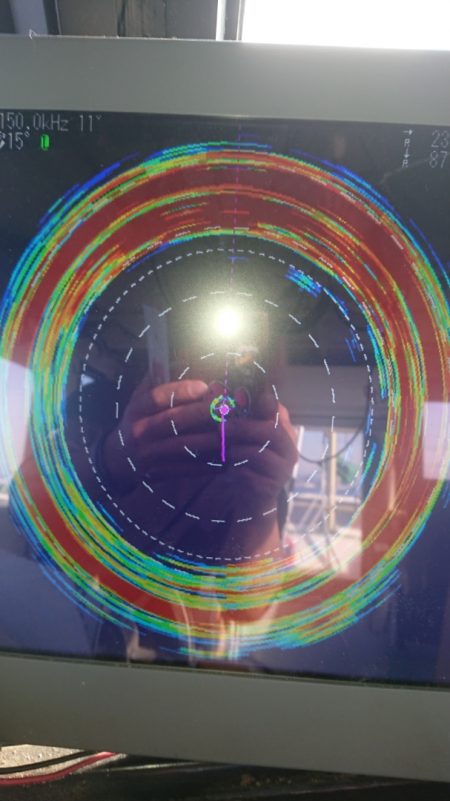 金沢八景鴨下丸 釣果