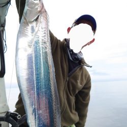 シースナイパー海龍 釣果