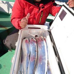 金沢八景鴨下丸 釣果