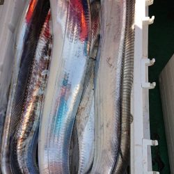 金沢八景鴨下丸 釣果