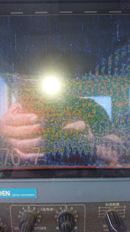 金沢八景鴨下丸 釣果