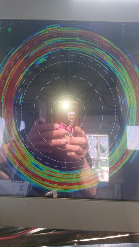 金沢八景鴨下丸 釣果