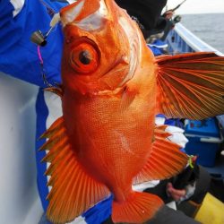 新幸丸 釣果