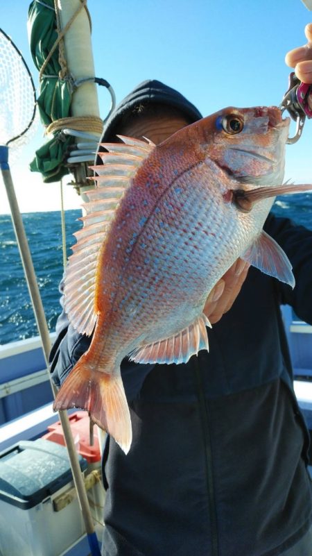 新幸丸 釣果