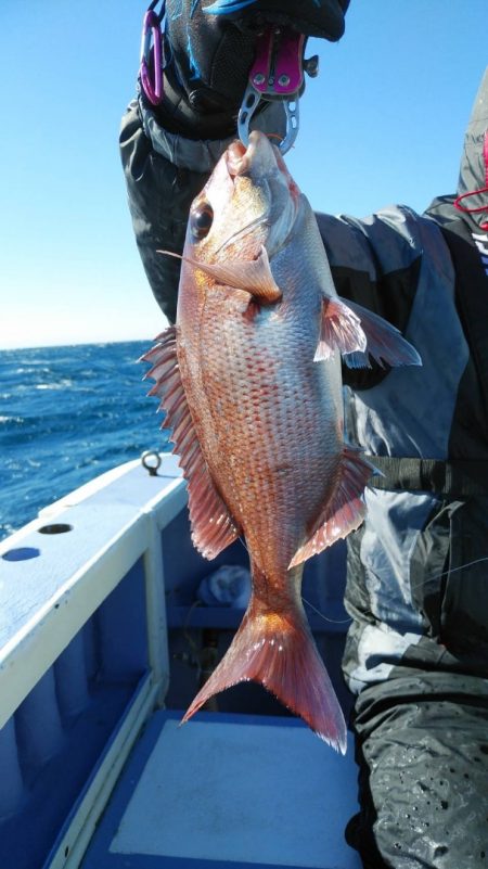 新幸丸 釣果