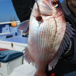 新幸丸 釣果