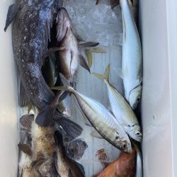 海龍丸（石川） 釣果