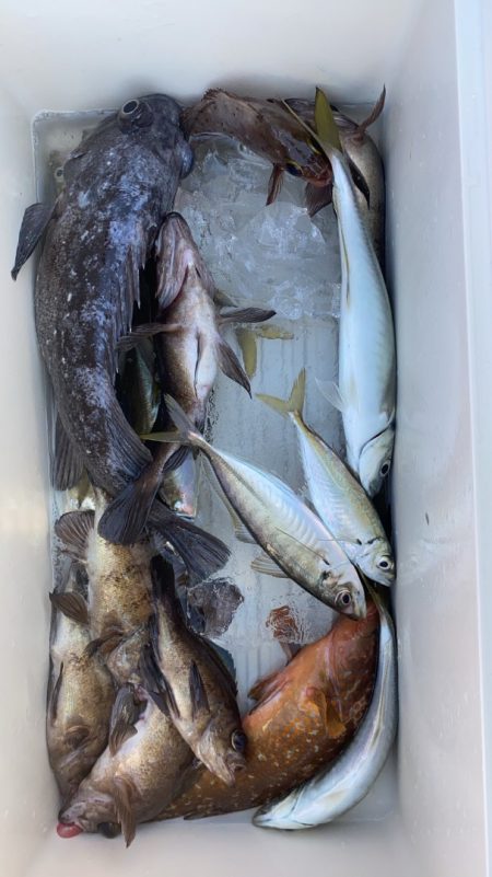 海龍丸（石川） 釣果