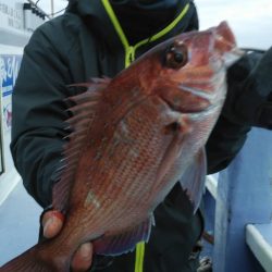 新幸丸 釣果