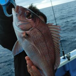 新幸丸 釣果