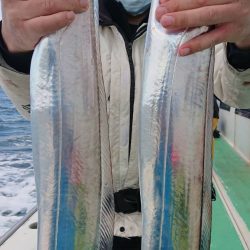 金沢八景鴨下丸 釣果