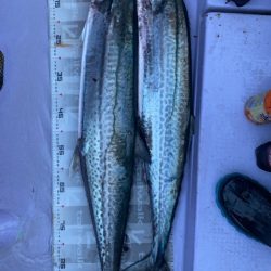 海龍丸（石川） 釣果