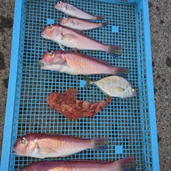 第三共栄丸 釣果