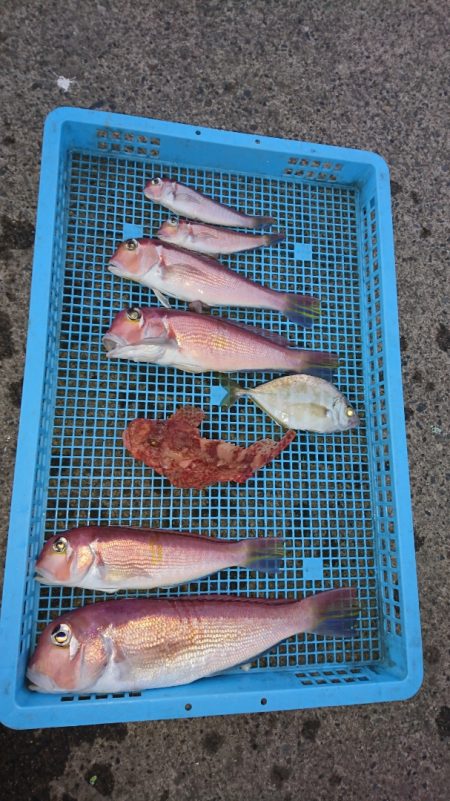 第三共栄丸 釣果