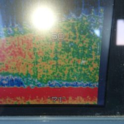 金沢八景鴨下丸 釣果