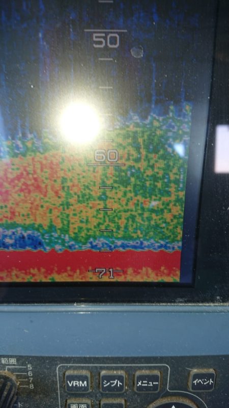 金沢八景鴨下丸 釣果