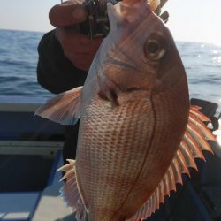 新幸丸 釣果