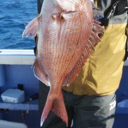 新幸丸 釣果